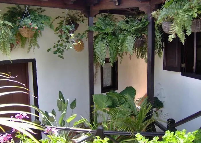 Mit Blick Auf Wasser By Interhome * Icod de los Vinos